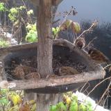 photo 2019-12-02 09-52-33