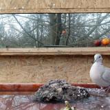 photo 2022-01-25 14-59-22