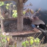 photo 2019-12-12 12-17-21