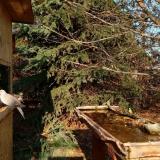 photo 2021-11-17 13-04-50