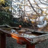 photo 2022-03-10 16-38-33