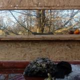 photo 2022-01-24 14-57-35