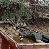 photo 2021-12-16 12-58-20 verbek