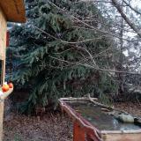 photo 2021-12-15 09-05-01