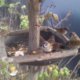 photo 2019-12-08 13-09-00