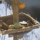 photo 2019-01-27 09-19-52