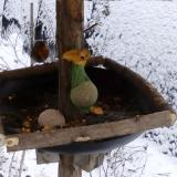 photo 2019-01-20 10-12-21