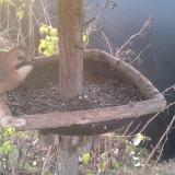 photo 2019-12-19 08-19-13