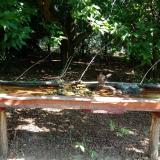 photo 2021-07-21 09-52-24