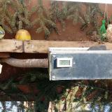 photo 2021-02-12 12-00-19