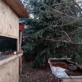 photo 2022-01-01 07-40-11