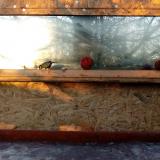 photo 2022-01-15 07-55-11