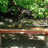 photo 2021-05-11 11-29-07