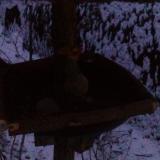 photo 2019-01-20 06-53-57