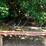 photo 2021-09-07 11-40-13