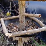 photo 2019-01-02 11-15-51