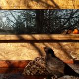 photo 2022-01-24 09-36-13