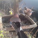 photo 2019-12-25 09-16-01