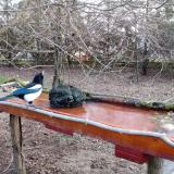 photo 2021-03-16 06-42-14