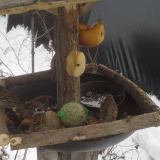 photo 2019-01-27 13-18-14