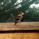 photo 2023-10-24 08-52-08 meggyvago