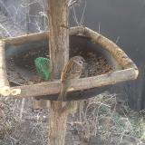 photo 2019-02-17 07-13-58