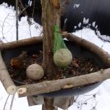 photo 2019-01-12 10-12-55