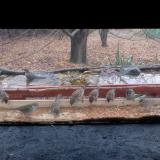 photo 2021-11-22 09-38-28