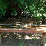 photo 2021-07-08 10-58-24