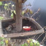 photo 2019-12-06 11-20-14