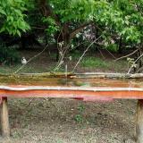 photo 2021-05-06 10-38-18