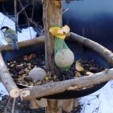 photo 2019-01-15 09-00-39