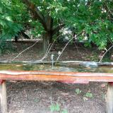 photo 2021-08-08 16-06-42