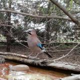 photo 2022-03-30 17-38-21 szajko