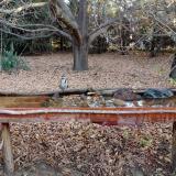 photo 2021-10-26 07-58-15