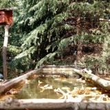 photo 2023-10-17 13-15-37