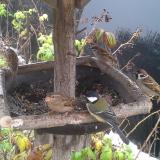 photo 2019-12-02 09-55-21