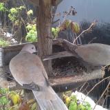 photo 2019-12-02 13-23-13