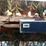 photo 2021-02-13 10-47-41