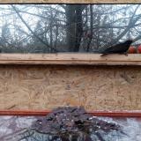 photo 2022-01-20 15-20-11