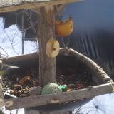 photo 2019-01-29 10-54-26