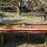 photo 2021-04-09 16-53-18