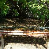 photo 2021-10-02 11-50-41