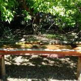 photo 2021-05-10 10-26-30