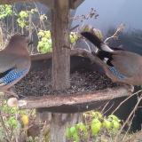 photo 2019-12-12 11-58-51