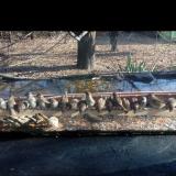 photo 2021-11-30 11-49-57