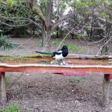 photo 2021-04-13 06-24-31