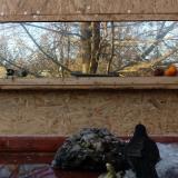 photo 2022-01-24 14-57-05