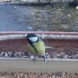 photo 2021-12-04 14-13-44 cinke