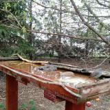 photo 2022-03-31 08-37-23